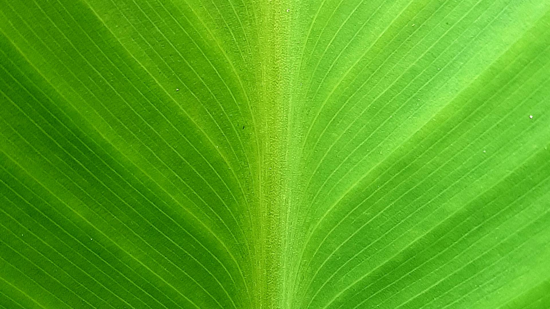 Professional salon environment